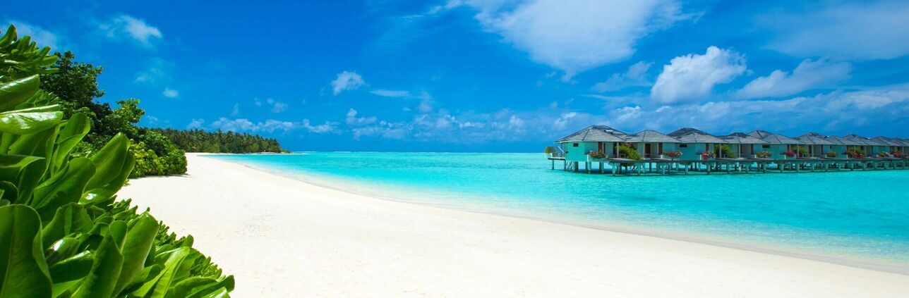 SKY TOUR Travel Company 