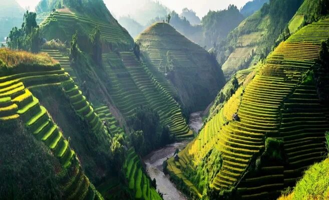 Tours to Vietnam from 5,000,000 UZS